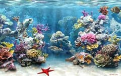 فيلم الشعاب 2006 مدبلج مصري