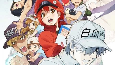 انمي Hataraku Saibou!! الحلقة 8 والاخيرة مترجم